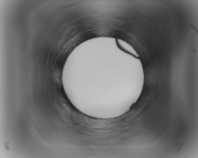 X0000101950044200808081515