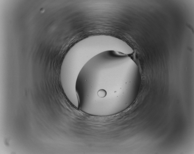 X0000101950045200808081515