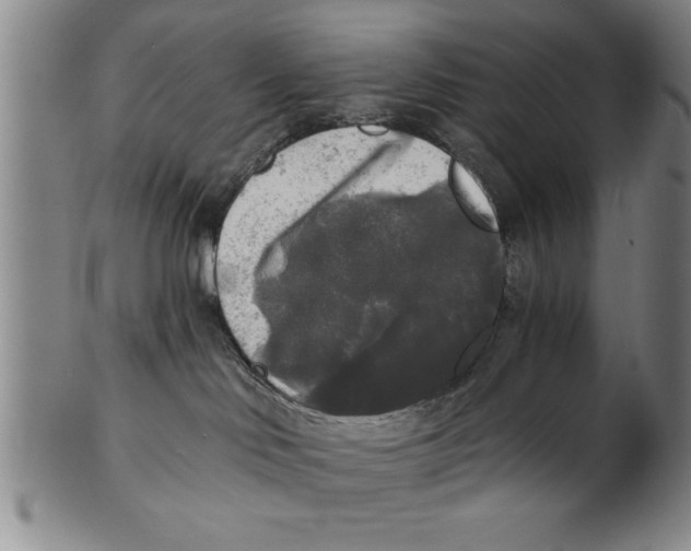 X0000101950046200808081515