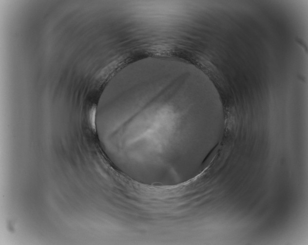 X0000101950047200808081515