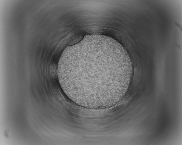X0000101950048200808081515