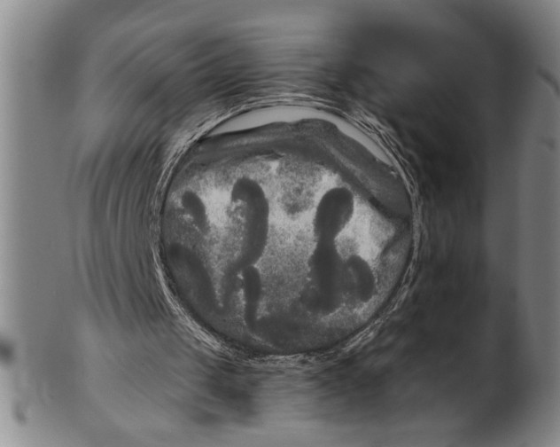 X0000101950049200808081514