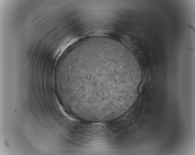X0000101950050200808081514