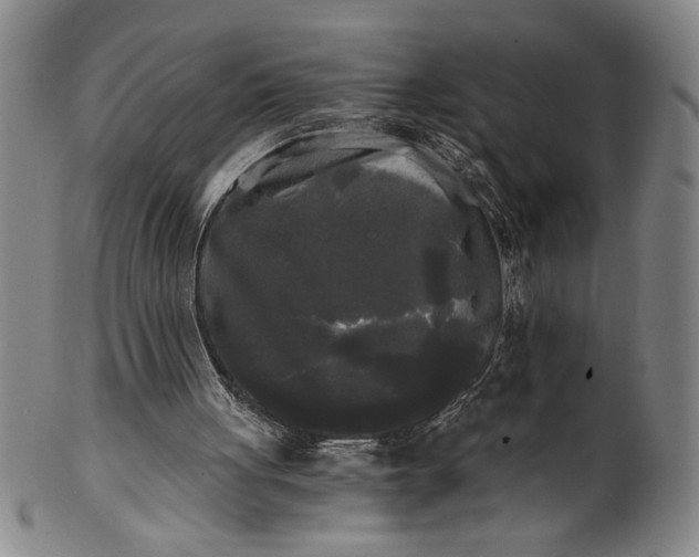X0000101950051200808081514