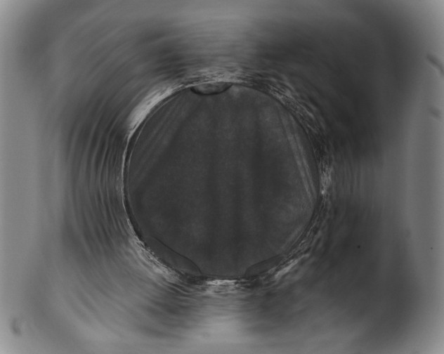 X0000101950052200808081514