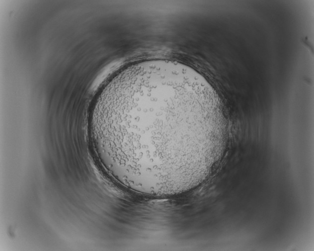 X0000101950054200808081514