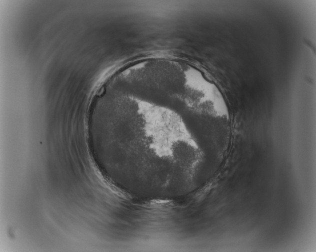 X0000101950055200808081514