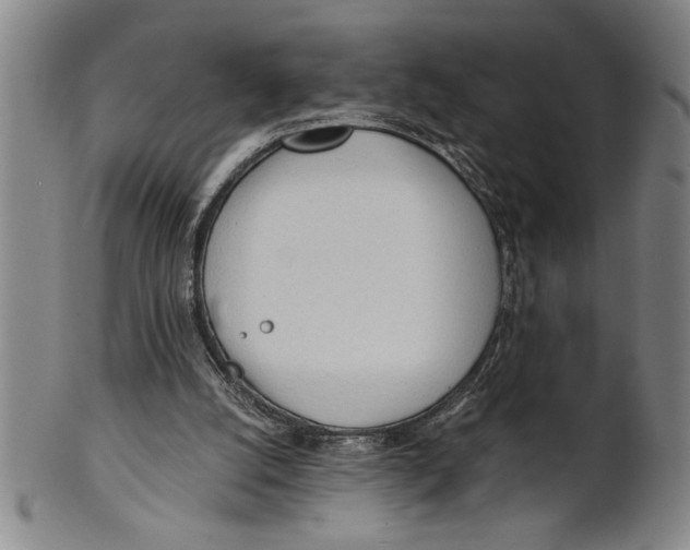 X0000101950056200808081514