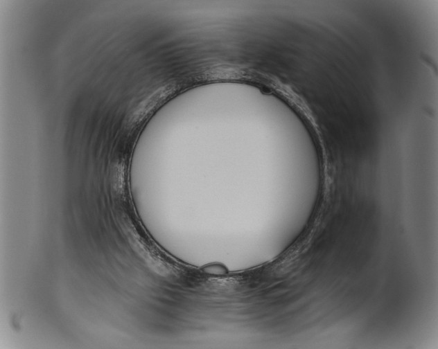 X0000101950057200808081514