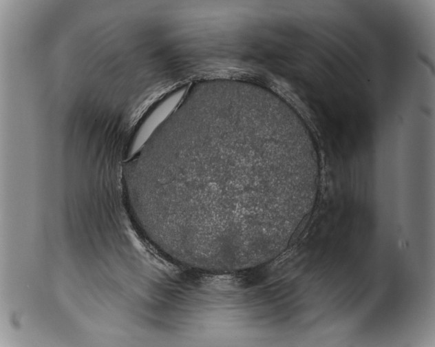 X0000101950058200808081514