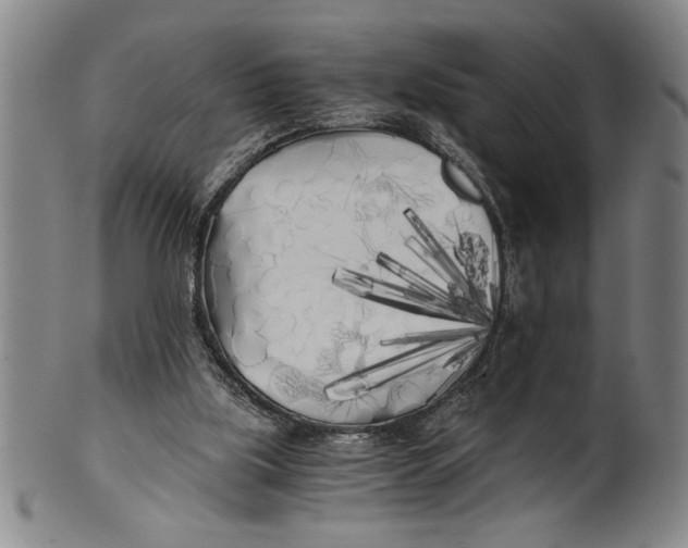 X0000101950059200808081514