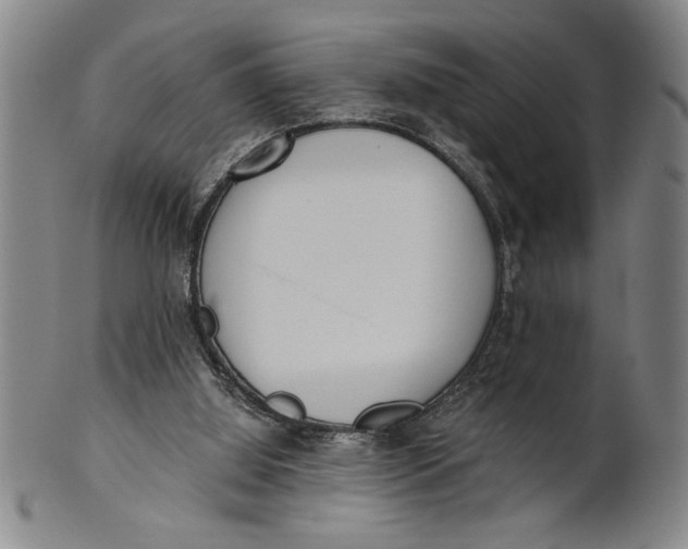 X0000101950060200808081514