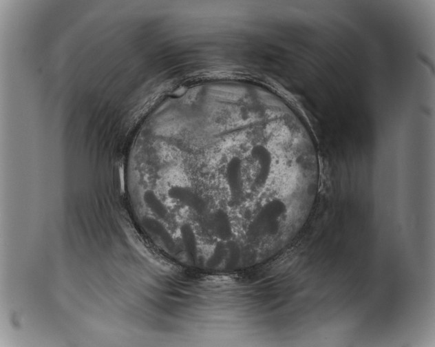 X0000101950061200808081514