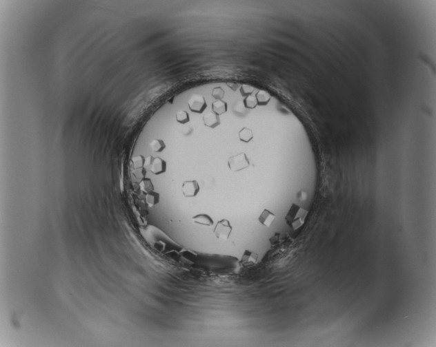 X0000101950062200808081514