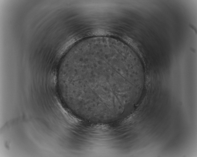 X0000101950063200808081514