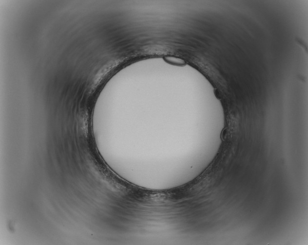 X0000101950064200808081515