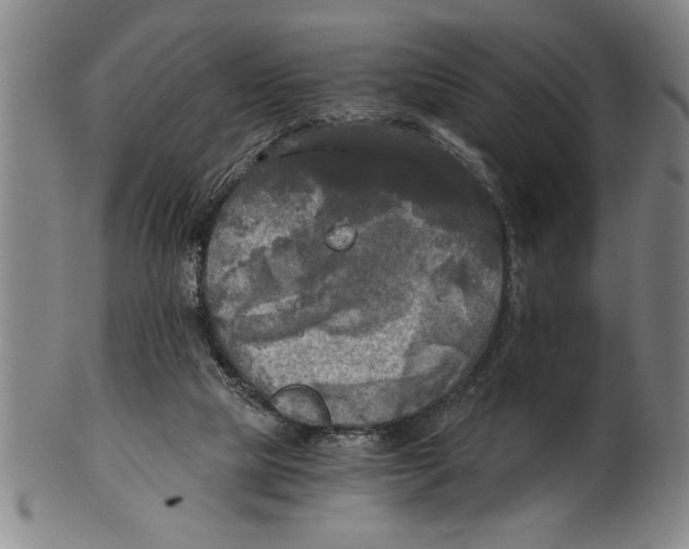 X0000101950065200808081515