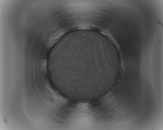 X0000101950066200808081515