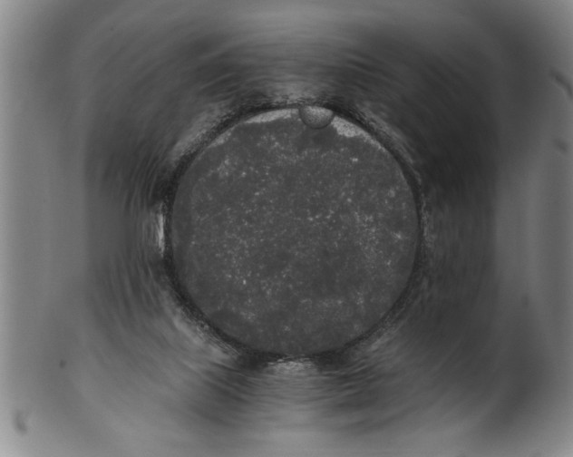 X0000101950067200808081515