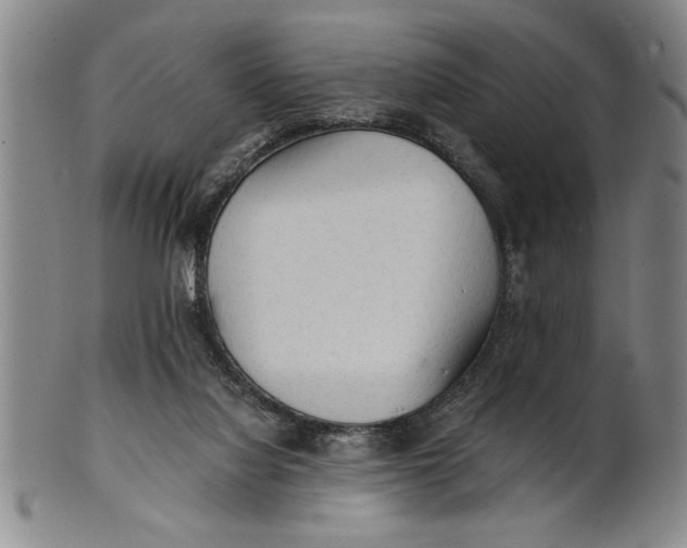 X0000101950068200808081515