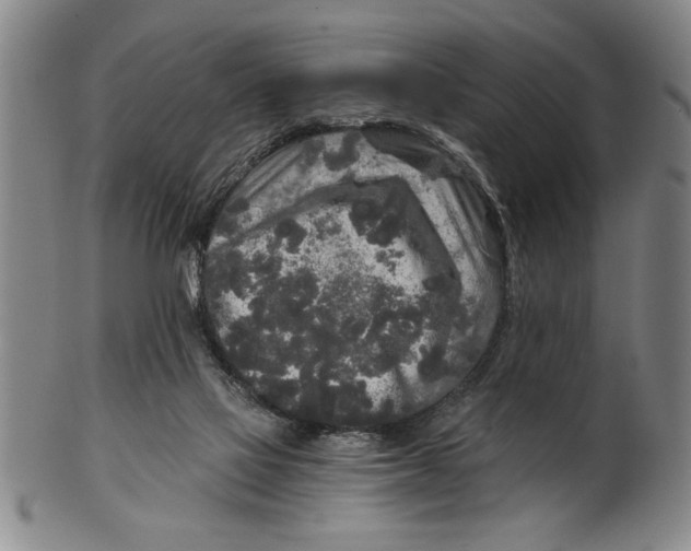 X0000101950069200808081515