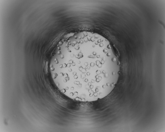 X0000101950070200808081515