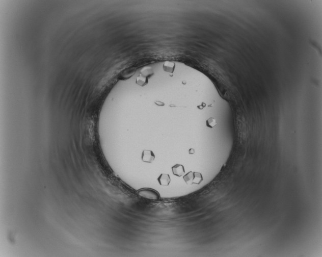 X0000101950071200808081515
