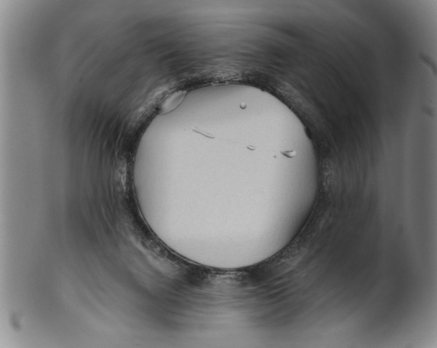 X0000101950072200808081515