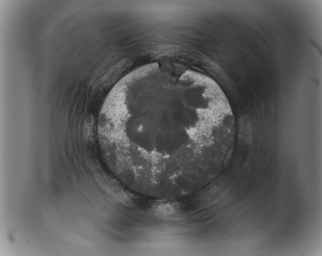 X0000101950073200808081515