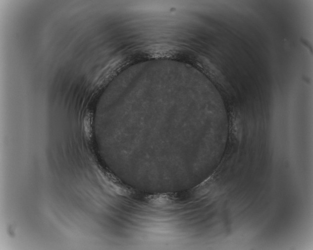 X0000101950074200808081515
