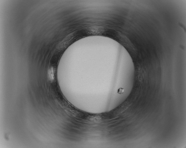 X0000101950075200808081515