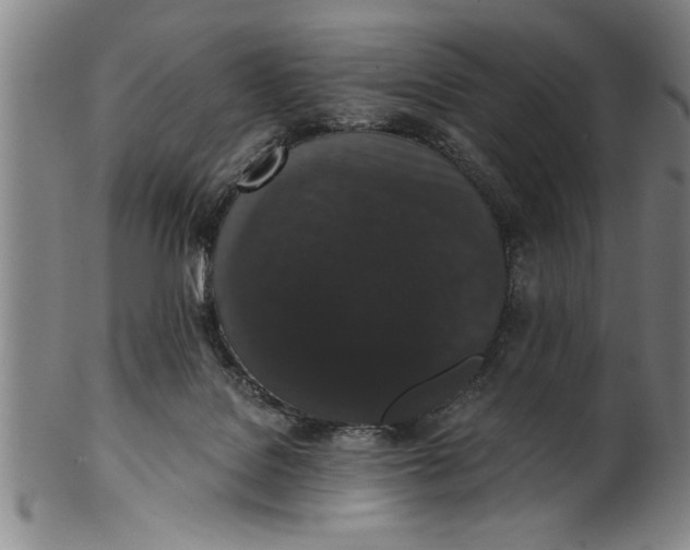 X0000101950076200808081515
