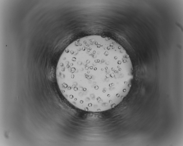 X0000101950077200808081515