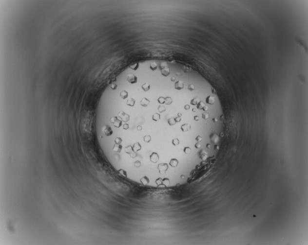 X0000101950078200808081515