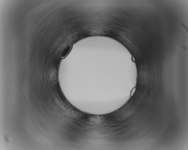 X0000101950079200808081515