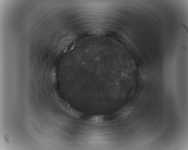 X0000101950080200808081515