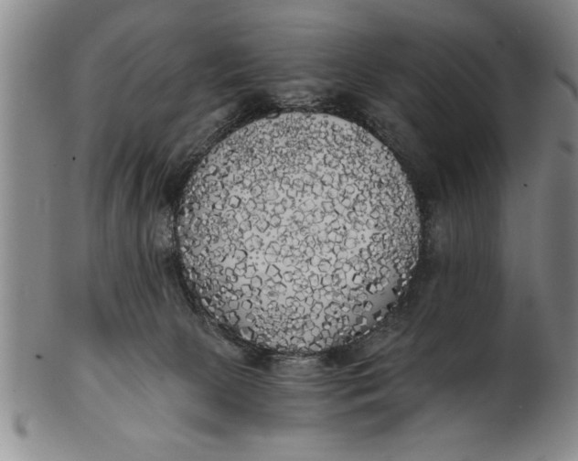 X0000101950081200808081515