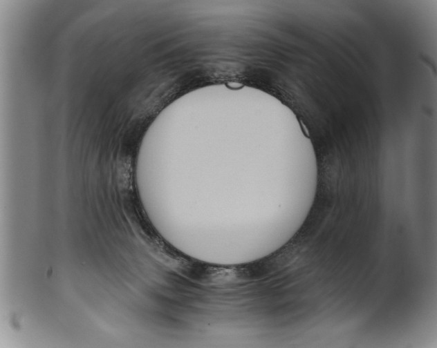 X0000101950083200808081515