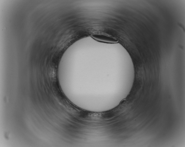 X0000101950084200808081515