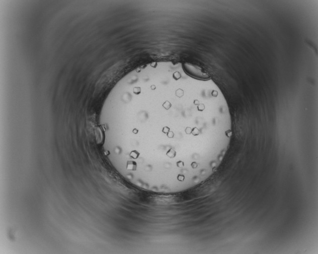 X0000101950085200808081515