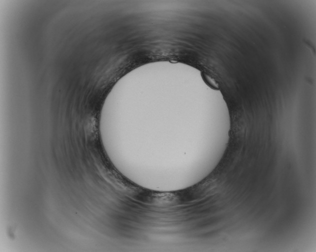 X0000101950087200808081515