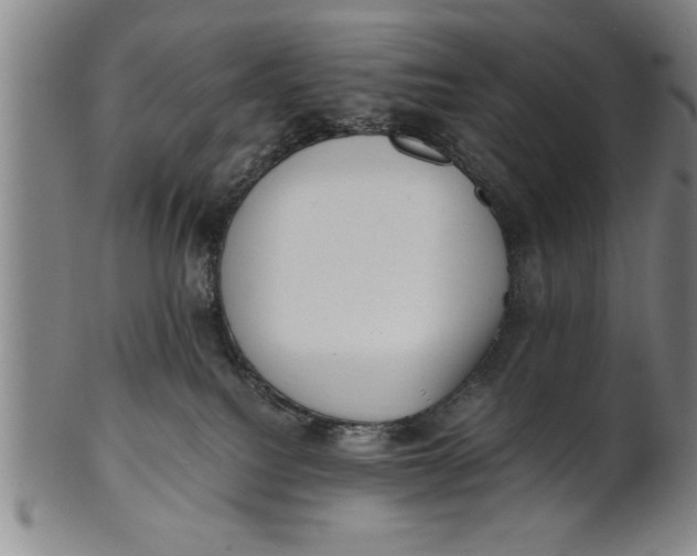 X0000101950088200808081515