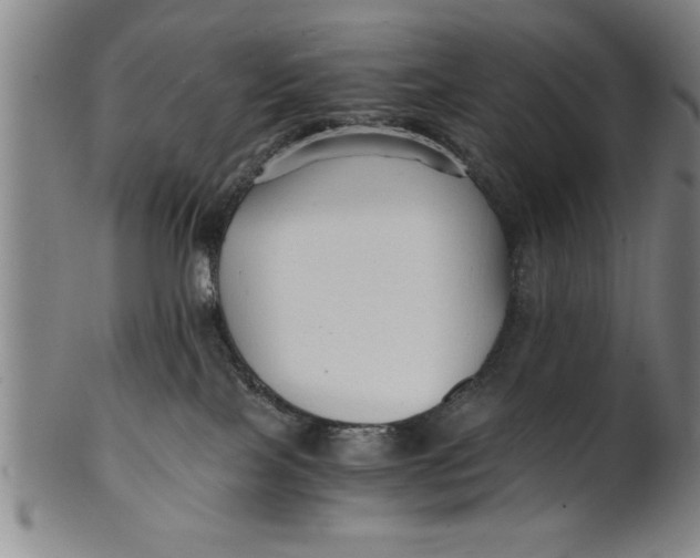 X0000101950089200808081515