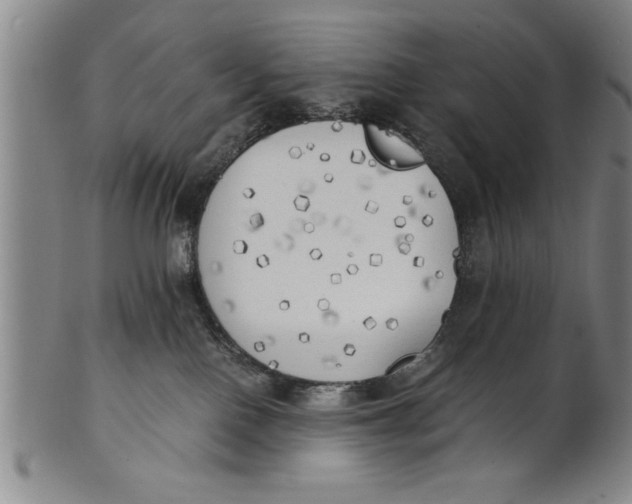 X0000101950090200808081515