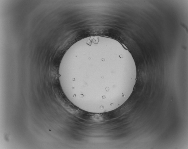 X0000101950091200808081515