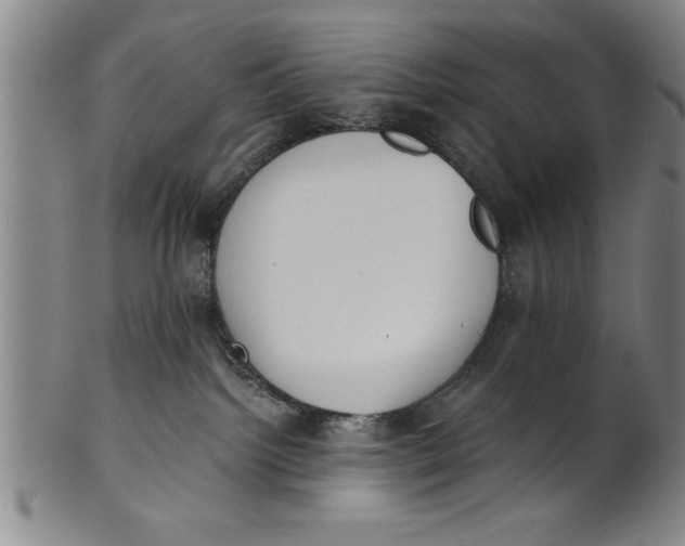 X0000101950092200808081515
