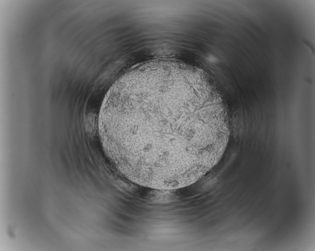 X0000101950093200808081515