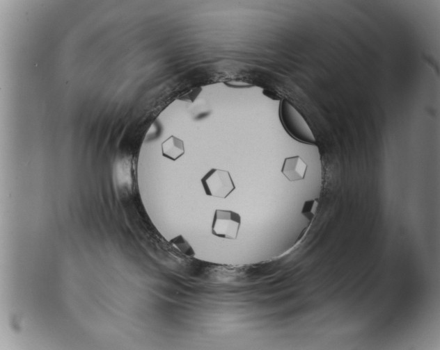 X0000101950094200808081515