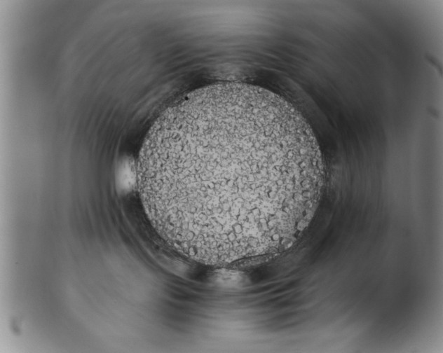 X0000101950095200808081515