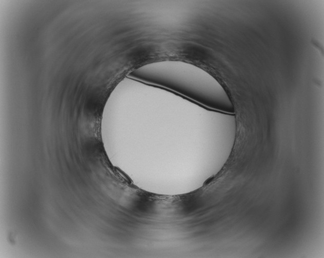 X0000101950096200808081515